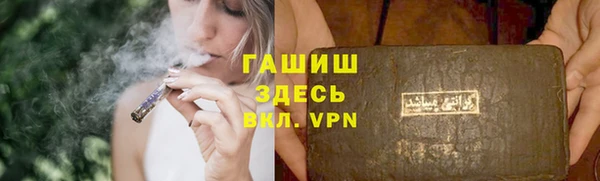 PSILOCYBIN Алзамай