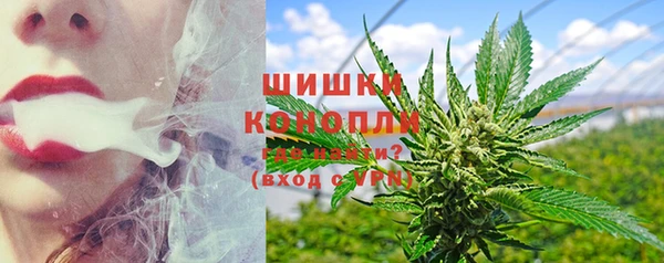 шишки Алексин