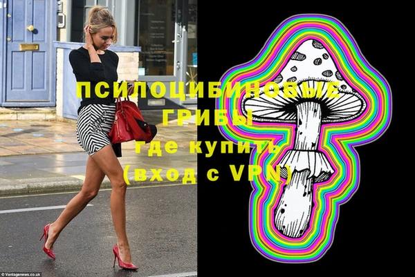шишки Алексин