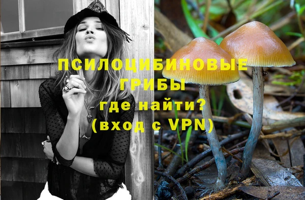 PSILOCYBIN Алзамай